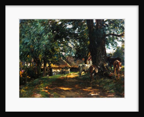 In the Shade by Mark Fisher