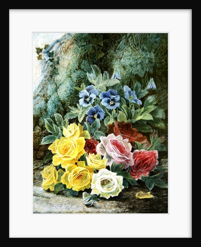 Roses by Oliver Clare