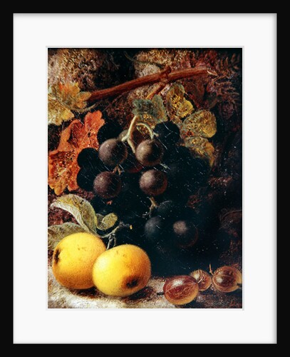 Grapes, Apples and Gooseberries by Vincent Clare