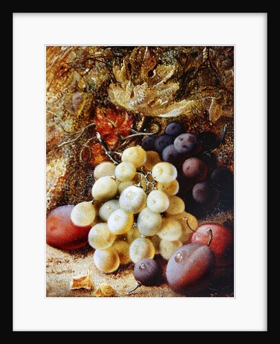 Grapes and Plums by Vincent Clare