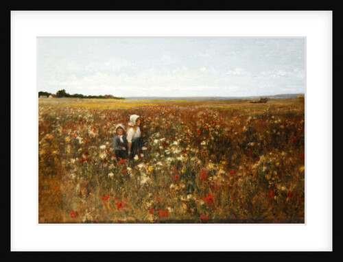 The Poppyfield, 1897 by Kate Colls