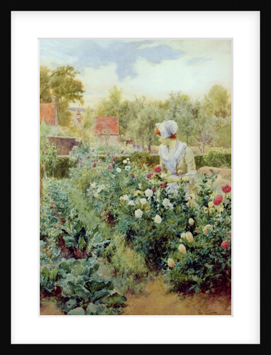 Dahlias, 1896 by Alfred Jr. Glendening