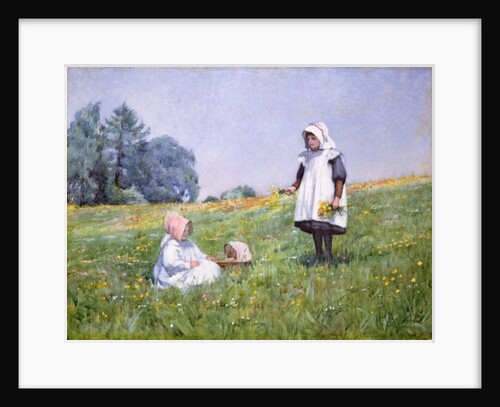 Buttercups and Daisies by Minnie Jane Hardman