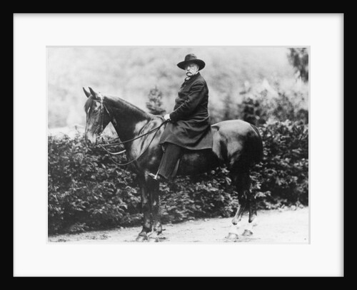 Prince Bismarck in Friedrichsruh, 1890 by School German