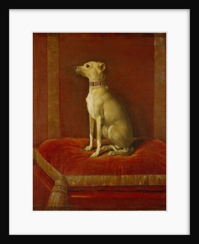 One of Frederick II's Italian Greyhounds by German School