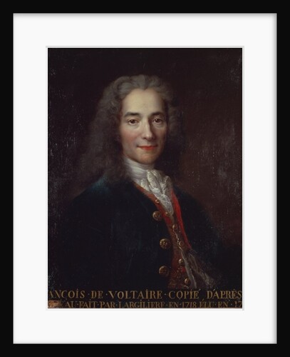 Portrait of Voltaire by Catherine Lusurier