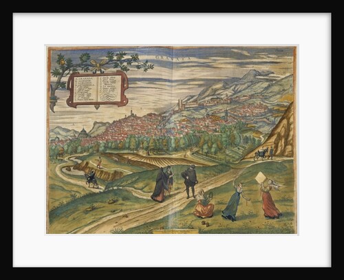 View of Granada by School Spanish