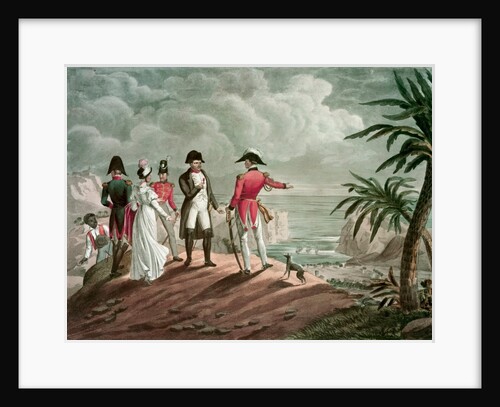 Bonaparte on St. Helena by Francois (after) Martinet