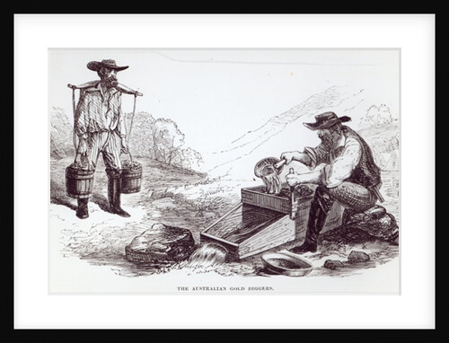 The Australian Gold Diggers by English School