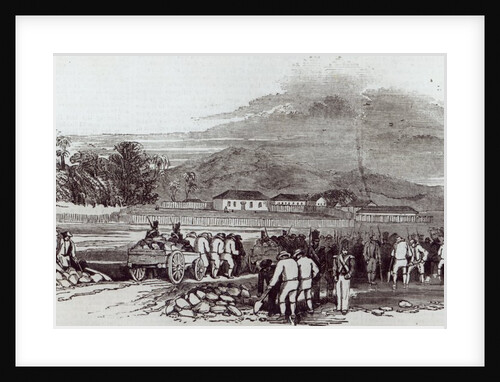 Norfolk Island by English School