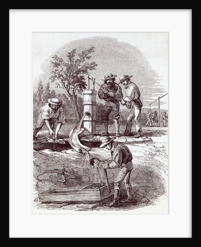 River-bed claim on the Turon by English School