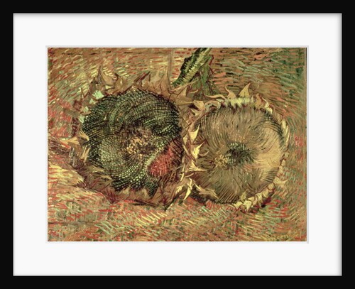 Two Cut Sunflowers, 1887 by Vincent van Gogh