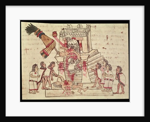 B.R. 232 fol.70r A human sacrifice from the Codex Magliabechiano by Aztec