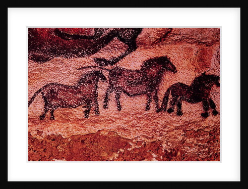 Rock painting of tarpans, c.17000 BC by Prehistoric Prehistoric