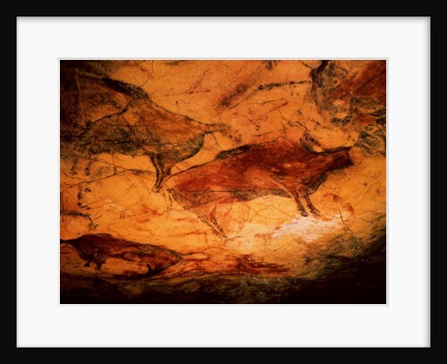 Bison from the Caves at Altimira, c.15000 BC by Prehistoric Prehistoric