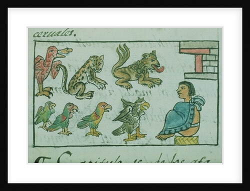 Ms Palat. 218-220 Book IX Animals of the Aztec Emperor by Spanish School