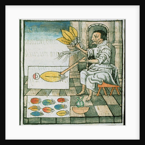 Ms Palat 218-220 Book IX An Aztec feather artisan by Spanish School