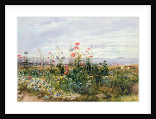 Fleurs sauvages avec une vue de Dublin Dunleary by Andrew Nicholl