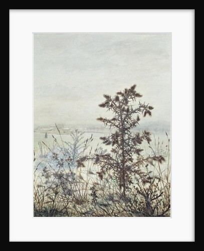 Thistles and Weeds, 1864 by Leon Bonvin