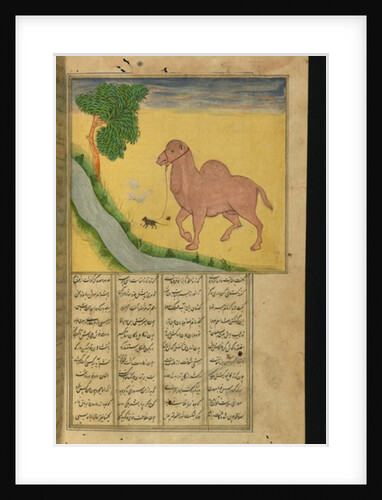 A Mouse, Clutching the Reins of a Camel, at a Stream of Water by Persian School