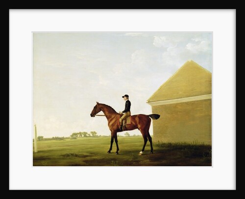 Turf, c.1765 by George Stubbs