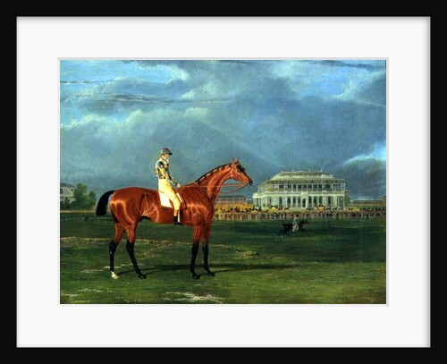 Memnon with William Scott Up, 1825 by John Frederick Herring Snr