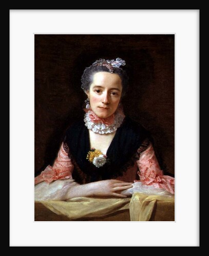 An Unknown Woman in a Pink Dress by Allan Ramsay