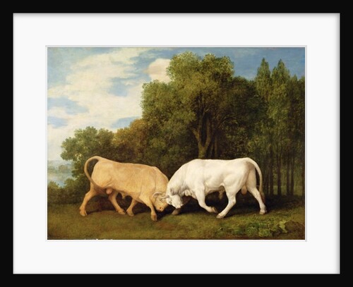 Bulls Fighting, 1786 by George Stubbs