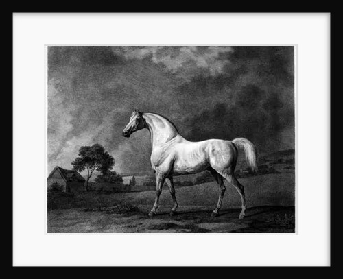 Mambrino by George Stubbs