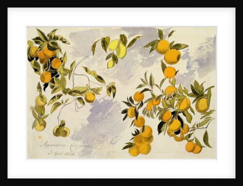 Orange Trees, 1863 by Edward Lear