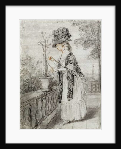 Lady on a Terrace Tending a Carnation Plant by John Raphael Smith