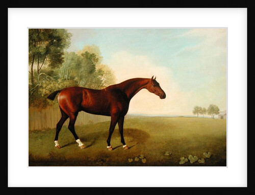 A Bay Horse in a Field, 1778 by John Boultbee