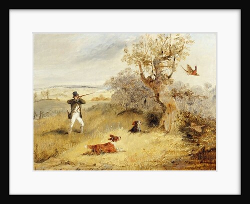 Pheasant Shooting by Henry Thomas Alken