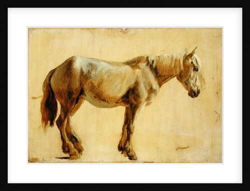 Study of a Grey Horse by Jacques-Laurent Agasse