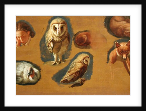 Studies of a Fox, a Barn Owl, a Peahen and a Young Man's Head by Jacques-Laurent Agasse