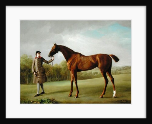 Lustre, held by a Groom, c.1760-62 by George Stubbs