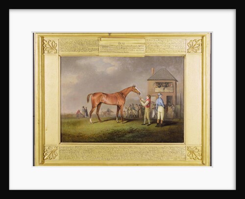 Portrait of 'Quiz', the property of Lord Rous, after his last race at Newmarket by Henry Bernard Chalon