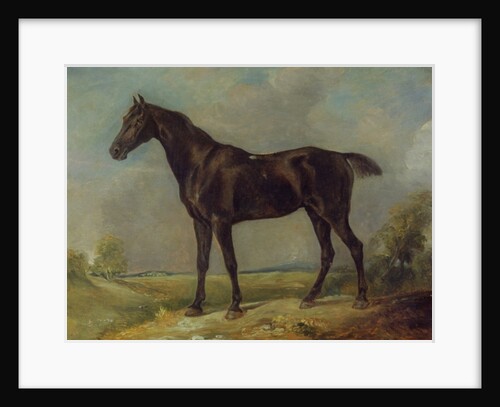 Golding Constable's Black Riding-Horse, c.1805-10 by John Constable