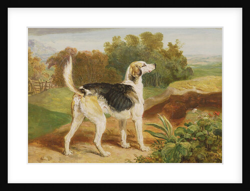 Ravager, one of the Lambton Hounds by James Ward