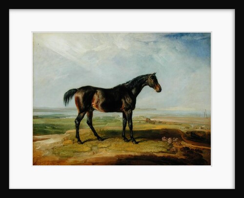 Dr. Syntax, a bay racehorse, standing in a coastal landscape, an estuary beyond by James Ward