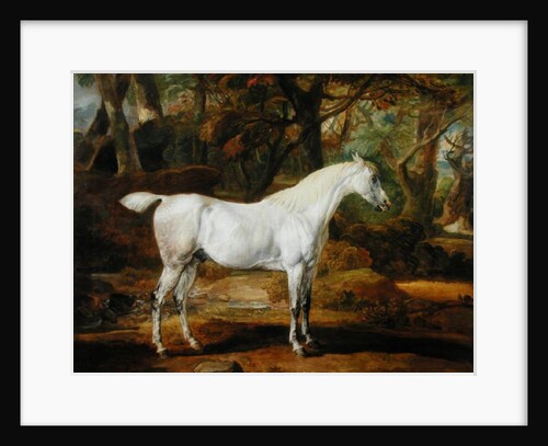 A Grey Arabian Stallion, the Property of Sir Watkin Williams-Wynn, c.1815-20 by James Ward