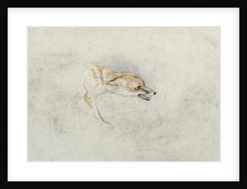 Study of a crouching Fox, facing right verso: faint sketch of fox's head and tail by John Frederick Lewis