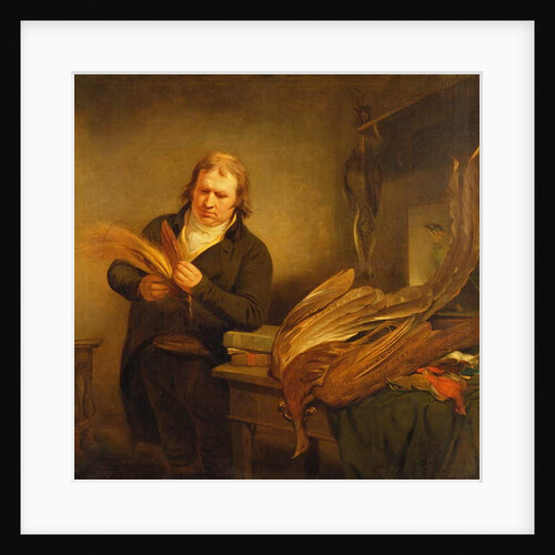 An Ornithologist, probably Mr. Thomson, Animal and Bird Preserver to the Leverian and British Museums, 1802 by Ramsay Richard Reinagle