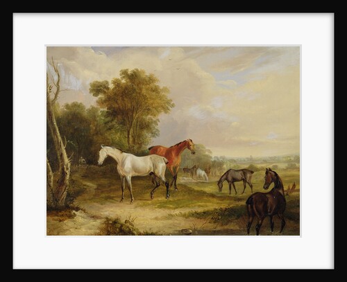 Horses Grazing: A Grey Stallion grazing with Mares in a Meadow by Francis Calcraft Turner