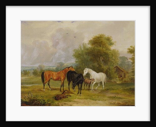 Horses Grazing: Mares and Foals in a Field by Francis Calcraft Turner