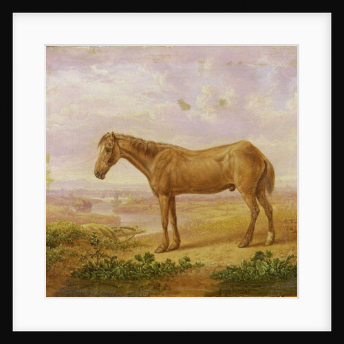 Old Billy, a Draught Horse, Aged 62 by Charles Towne