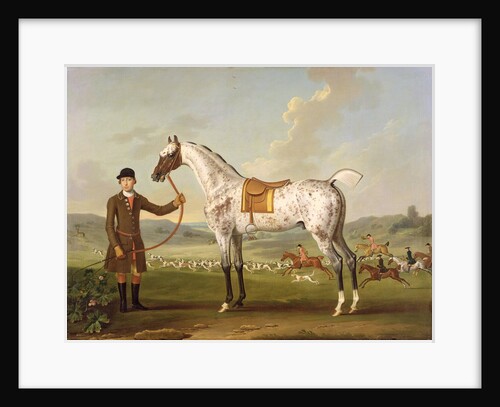 Scipio, Colonel Roche's Spotted Hunter, c.1750 by Thomas Spencer