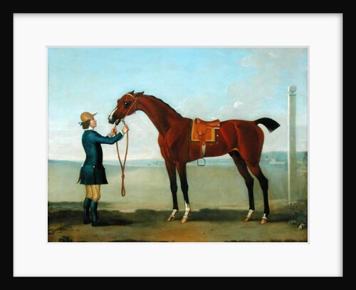 The Duke of Devonshire's Flying Childers, 1742 by James Seymour