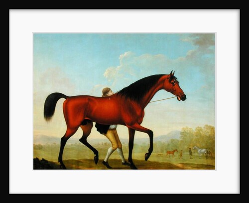 The Duke of Ancaster's Bay Stallion, Blank, walking towards a Mare by William Shaw