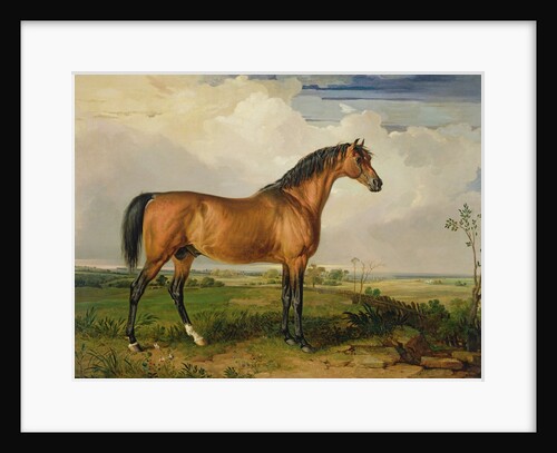 Eagle, a Celebrated Stallion by James Ward